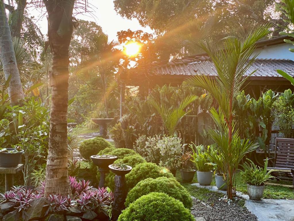 Villa Hathawariya View *